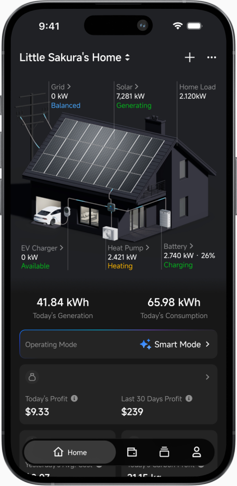 Whole-home energy overview screen