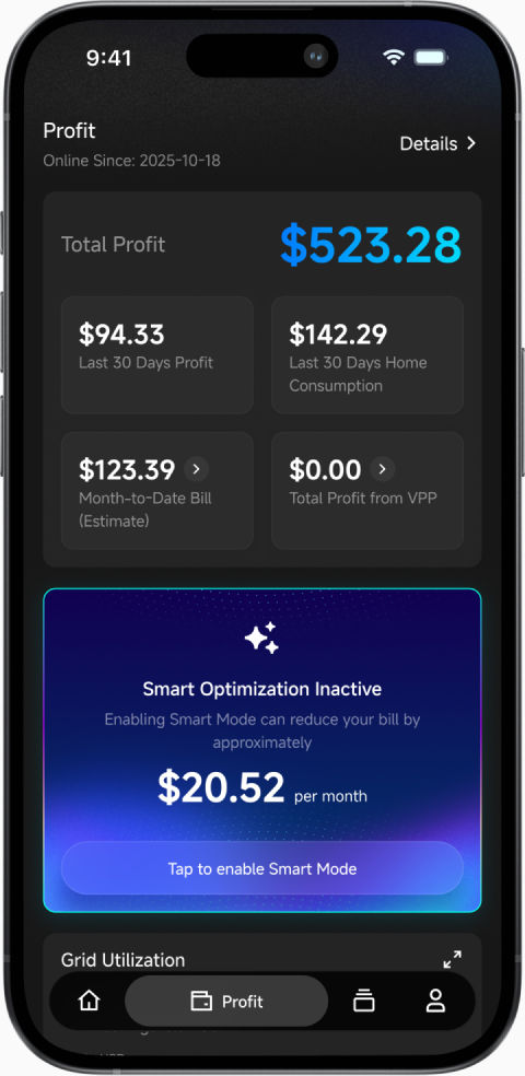 Earnings and profit overview screen